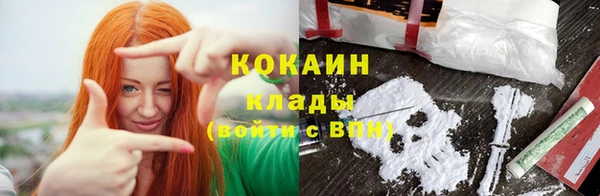 ГАЛЛЮЦИНОГЕННЫЕ ГРИБЫ Арсеньев
