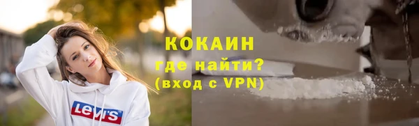 ГАЛЛЮЦИНОГЕННЫЕ ГРИБЫ Арсеньев