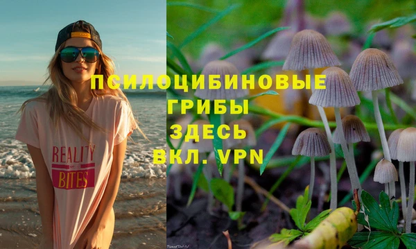 ГАЛЛЮЦИНОГЕННЫЕ ГРИБЫ Гусь-Хрустальный