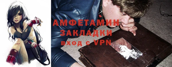 ПСИЛОЦИБИНОВЫЕ ГРИБЫ Гусев