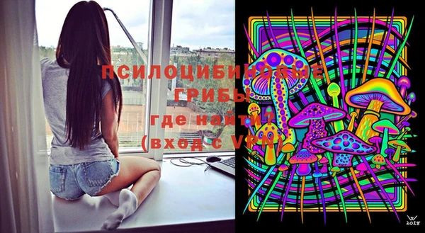 гидра Гусиноозёрск