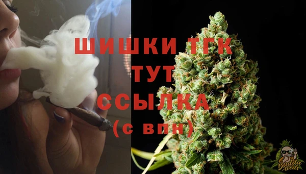 прущие крисы Инта