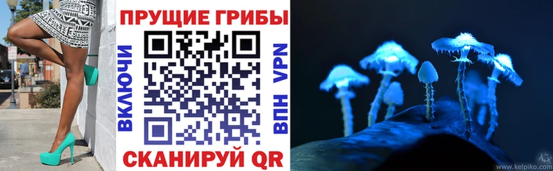 Галлюциногенные грибы Cubensis  купить  цена  Нижние Серги 